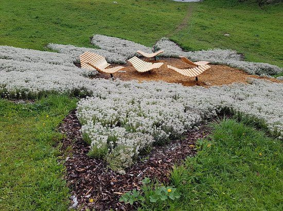 Senn's Wonder Walking Trail